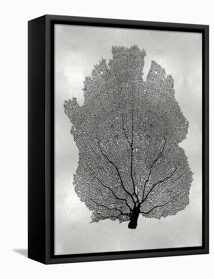 Sea Fan Black on Silver I-Melonie Miller-Framed Stretched Canvas