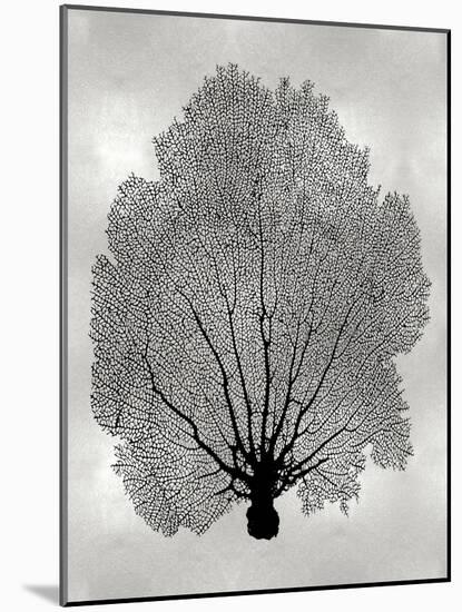 Sea Fan Black on Silver II-Melonie Miller-Mounted Art Print