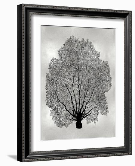 Sea Fan Black on Silver II-Melonie Miller-Framed Art Print