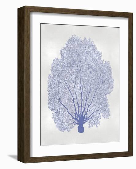 Sea Fan Blue II-Melonie Miller-Framed Art Print