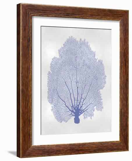 Sea Fan Blue II-Melonie Miller-Framed Art Print