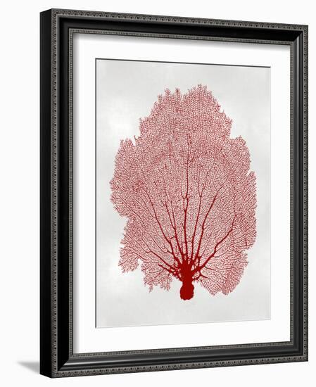 Sea Fan Coral II-Melonie Miller-Framed Art Print