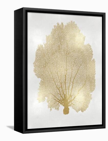 Sea Fan Gold II-Melonie Miller-Framed Stretched Canvas