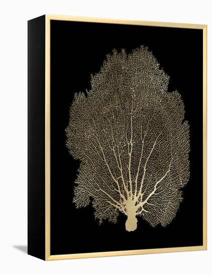 Sea Fan Gold on Black II-Melonie Miller-Framed Stretched Canvas