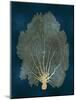 Sea Fan Gold on Teal II-Melonie Miller-Mounted Art Print