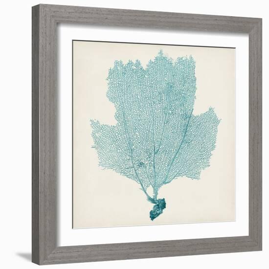 Sea Fan III-Vision Studio-Framed Art Print