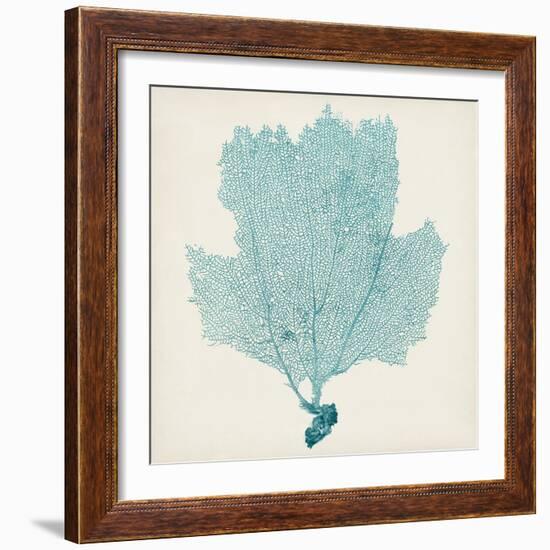 Sea Fan III-Vision Studio-Framed Art Print