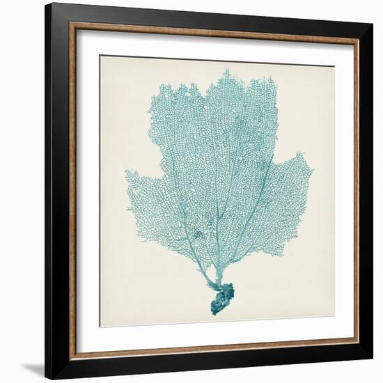 Sea Fan III-Vision Studio-Framed Art Print