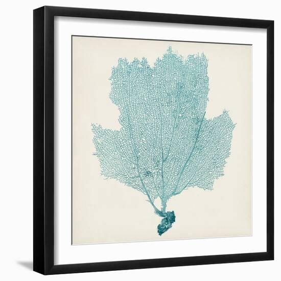 Sea Fan III-Vision Studio-Framed Art Print