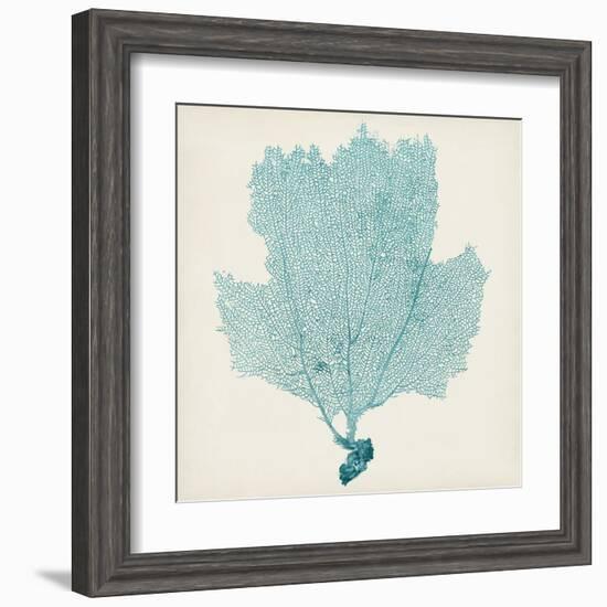 Sea Fan III-Vision Studio-Framed Art Print