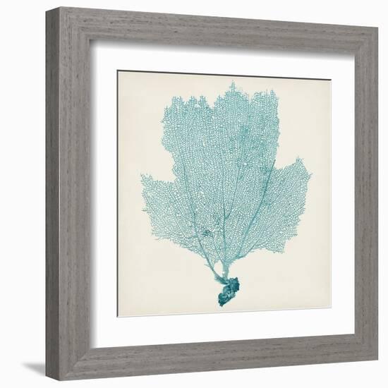 Sea Fan III-Vision Studio-Framed Art Print