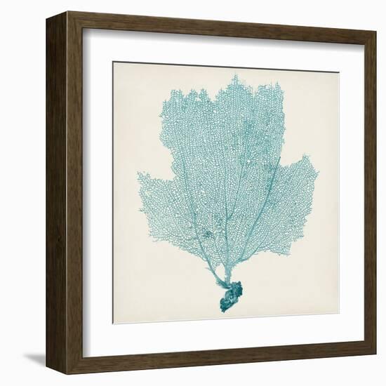 Sea Fan III-Vision Studio-Framed Art Print