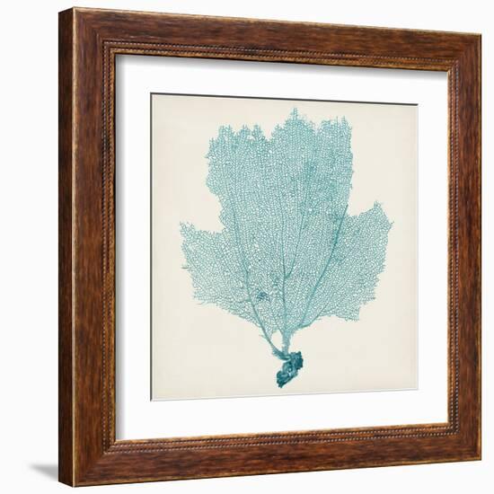 Sea Fan III-Vision Studio-Framed Art Print