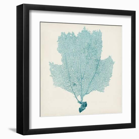 Sea Fan III-Vision Studio-Framed Art Print