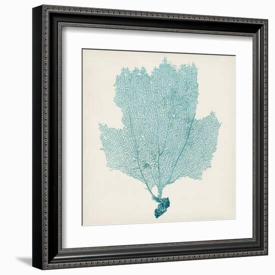 Sea Fan III-Vision Studio-Framed Art Print