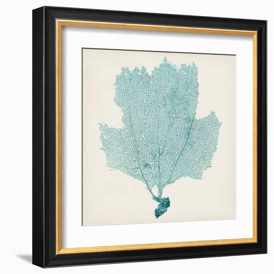 Sea Fan III-Vision Studio-Framed Art Print