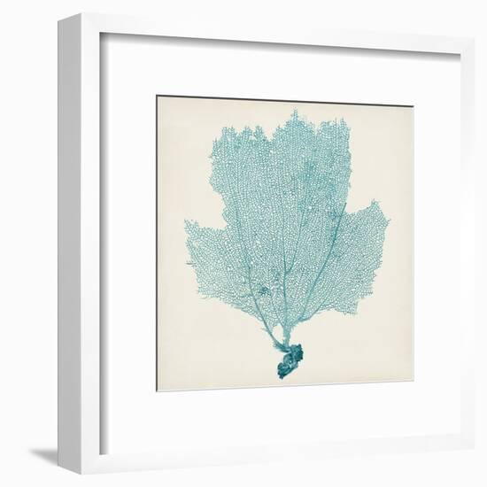 Sea Fan III-Vision Studio-Framed Art Print