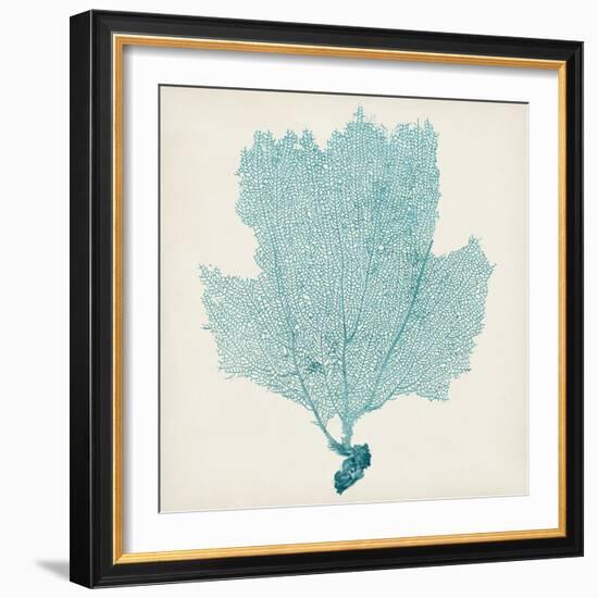 Sea Fan III-Vision Studio-Framed Premium Giclee Print