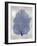 Sea Fan Indigo Blue I-Melonie Miller-Framed Art Print