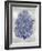 Sea Fan Indigo Blue I-Melonie Miller-Framed Art Print