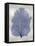 Sea Fan Indigo Blue I-Melonie Miller-Framed Stretched Canvas