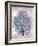 Sea Fan Indigo Blue II-Melonie Miller-Framed Art Print