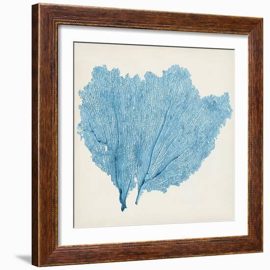 Sea Fan IV-Vision Studio-Framed Premium Giclee Print