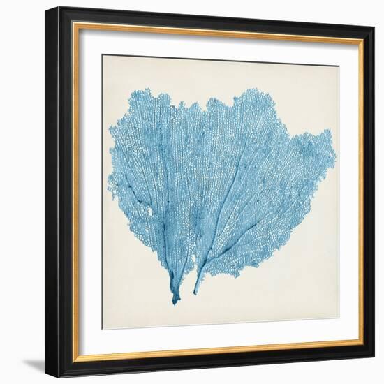 Sea Fan IV-Vision Studio-Framed Premium Giclee Print