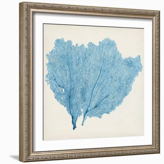 Sea Fan IV-Vision Studio-Framed Art Print