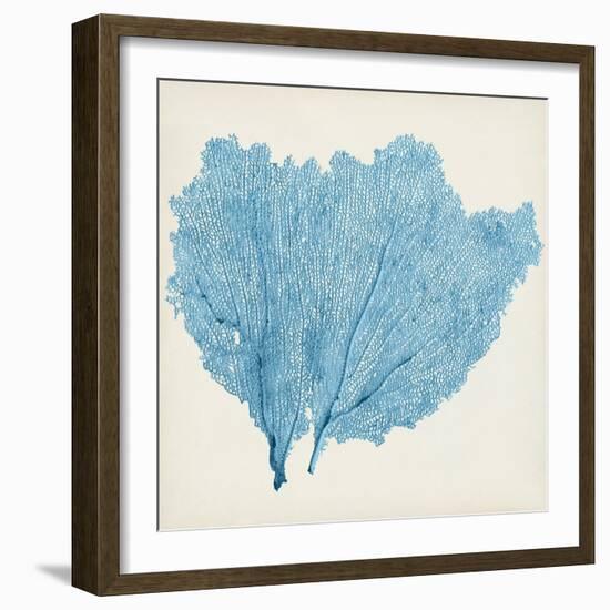 Sea Fan IV-Vision Studio-Framed Art Print