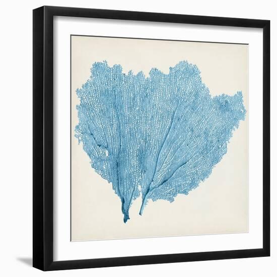 Sea Fan IV-Vision Studio-Framed Art Print