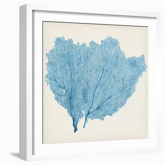 Sea Fan IV-Vision Studio-Framed Art Print