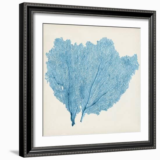 Sea Fan IV-Vision Studio-Framed Art Print