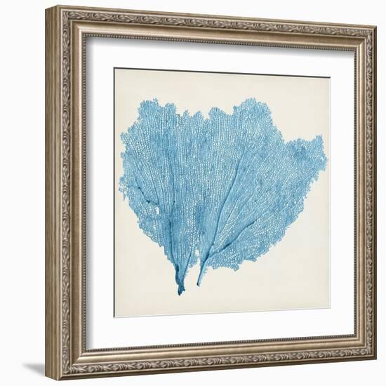 Sea Fan IV-Vision Studio-Framed Art Print