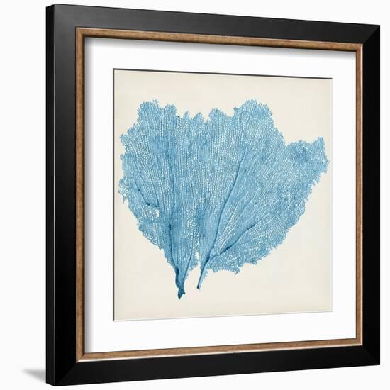 Sea Fan IV-Vision Studio-Framed Art Print