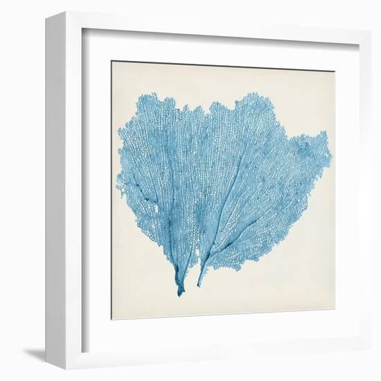 Sea Fan IV-Vision Studio-Framed Art Print