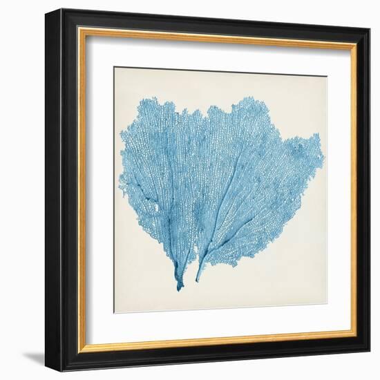 Sea Fan IV-Vision Studio-Framed Art Print