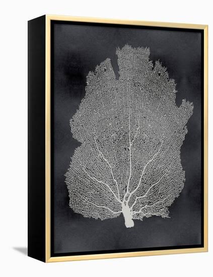 Sea Fan on Black I-Melonie Miller-Framed Stretched Canvas