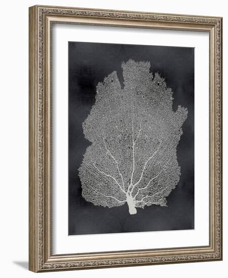 Sea Fan on Black I-Melonie Miller-Framed Art Print