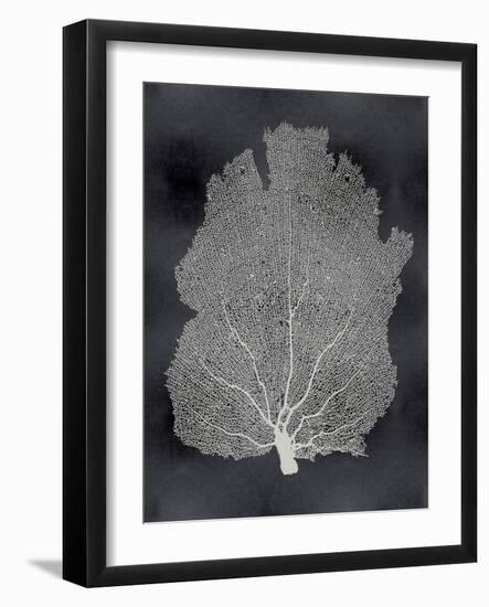 Sea Fan on Black I-Melonie Miller-Framed Art Print