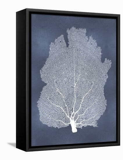 Sea Fan on Blue I-Melonie Miller-Framed Stretched Canvas