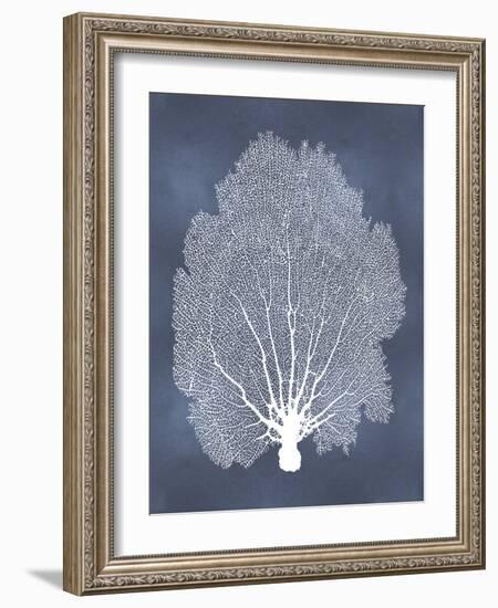 Sea Fan on Blue II-Melonie Miller-Framed Art Print