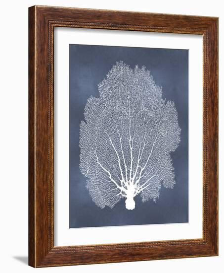 Sea Fan on Blue II-Melonie Miller-Framed Art Print