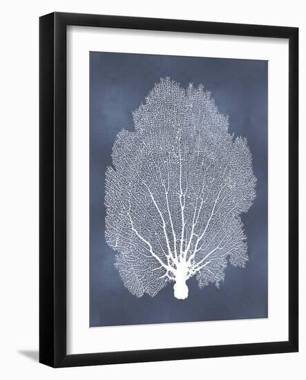 Sea Fan on Blue II-Melonie Miller-Framed Art Print