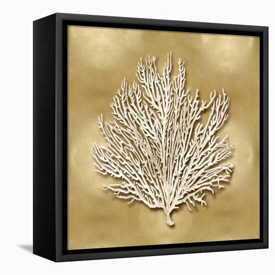 Sea Fan on Gold I-Caroline Kelly-Framed Stretched Canvas