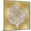 Sea Fan on Gold II-Caroline Kelly-Mounted Art Print