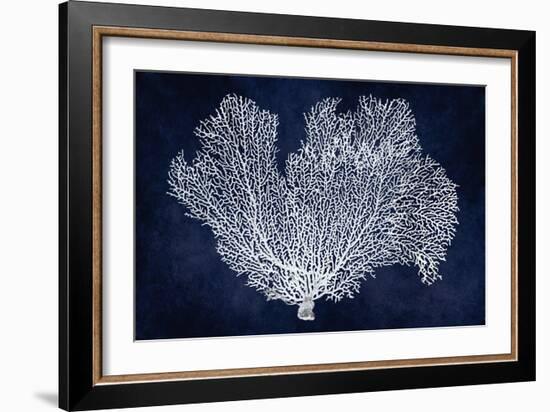 Sea Fan on Indigo Blue I-Melonie Miller-Framed Art Print