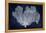 Sea Fan on Indigo Blue I-Melonie Miller-Framed Stretched Canvas