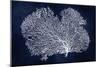 Sea Fan on Indigo Blue II-Melonie Miller-Mounted Art Print