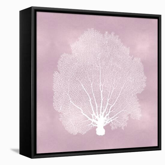 Sea Fan on Pink Blush II-Melonie Miller-Framed Stretched Canvas